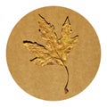 Sycamore autumn leaf, autumn leaf of plane tree, isolated on cardboard Royalty Free Stock Photo