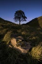 Sycamore Gap Royalty Free Stock Photo