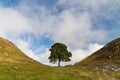 Sycamore Gap on the Hadrian's Wall trail in Northumberland