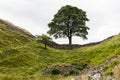 Sycamore Gap on the Roman Wall. Northumberland, England.