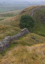 Sycamore Gap on the Roman Wall. Northumberland, England.