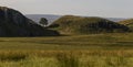 Sycamore Gap on the Roman Wall. Northumberland, England.