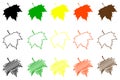 Sycamore leaf color set