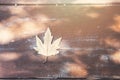 Sycamore leaf on old table Royalty Free Stock Photo