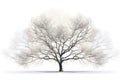 Sycamore Tree On A White Background Generative Ai