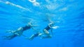 Synchronized Swimming Girls Underwater Photography