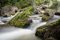 Exotic Scene on the Sydenham River Royalty Free Stock Photo