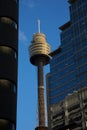 Sydney, AMP tower in the city Royalty Free Stock Photo