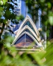 Stunning detail view of the Sydney Opera House and its architectural features seen through blurred bushes