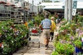 Customers at gardem plant display at Bunnings Warehouse Royalty Free Stock Photo