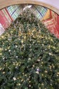 Christmas tree towers upward to the ornate cupola dome