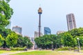 SYDNEY, AUSTRALIA, DECEMBER 29, 2019: Sydney Tower Eye viewed from Hyde park in Sydney, Australia Royalty Free Stock Photo