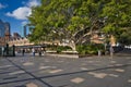 View of square with huge green tree near Syndey\'s harbour area