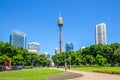 Sydney tower and hyde park