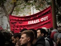 The Palestinians protest against Israel to free Palestine, They show image says ` Stop the attacks Israel out ` at Sydney Townhall