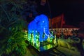 Vivid Sydney at Taronga Zoo. Wild animals light sculptures