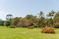 SYDNEY, AUSTRALIA - NOVEMBER 05, 2014: Royal Botanic Gardens in Sydney, Australia with tourits people and local park train Royalty Free Stock Photo