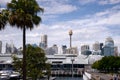 Sydney Australia skyline with radio tower