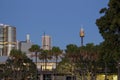 Sydney CBD skyscrapers and Sydney Tower seen from Pyrmont
