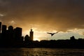 Sydney city skyline silhouette at sunset. Royalty Free Stock Photo