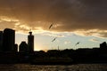 Sydney city skyline silhouette at sunset. Royalty Free Stock Photo