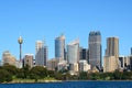 Sydney city with trees in foreground