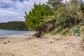 Sydney Cove Beach in Ulva Island of Stewart Island or Rakiura, New Zealand.