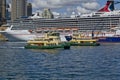 Sydney Ferries Borrowdale and Golden Grove