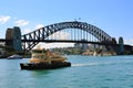 Sydney habour bridge in summer