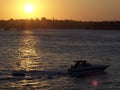 Sydney Harbor Boater