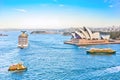 Sydney Harbour at dusk