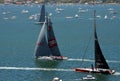 Sydney - Hobart Yacht Race 2014 Royalty Free Stock Photo