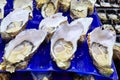 Sydney. New South Wales. Australia. The Fish Market. Jumbo Pacific Oysters