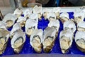 Sydney. New South Wales. Australia. The Fish Market. Jumbo Pacific Oysters