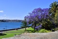 Australia, NSW, Sydney, Botanic Garden