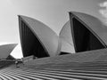 Sydney opera house roof tiles close up in black and white, Australia