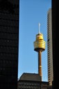 Sydney - the Sky Tower Royalty Free Stock Photo