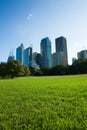 Sydney Skyline From The Park