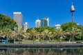 Sydney skyline on summer day with palmtrees