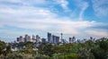 Sydney Skyline with trees in the foreground.