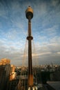 Sydney tower Royalty Free Stock Photo