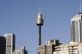 Sydney Tower Royalty Free Stock Photo