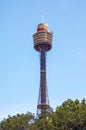 Sydney tower on blue sky