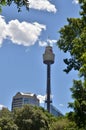 Sydney Tower