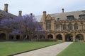 Sydney University Quadrangle Royalty Free Stock Photo