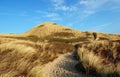 Sylt dune