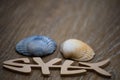 Sylt in the form of a fish with two sea shells on a laminate floor Royalty Free Stock Photo