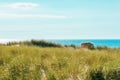 Sylt island landscape with marram grass dunes and horizon over the sea Royalty Free Stock Photo