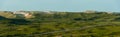 Sylt island panorama. Sand dunes covered in moss and vegetation