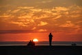 Sylt - The most beautiful island of Germany Royalty Free Stock Photo